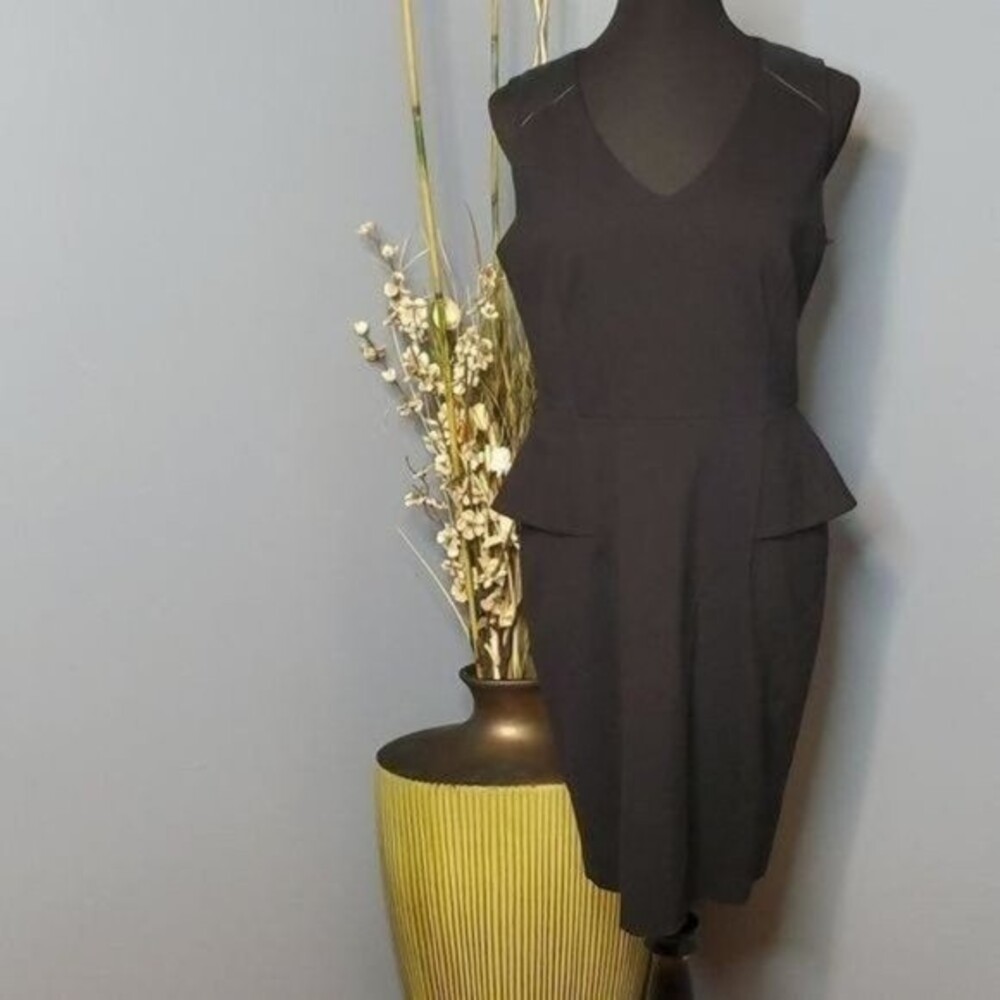 Vince Camuto V Neck Pelpum Dress Size 12